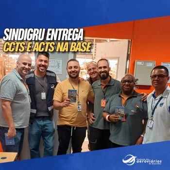 03 15 sindigru-base