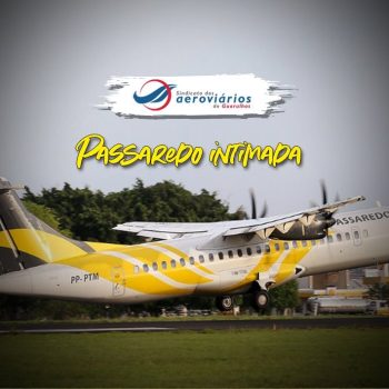 MODELO CAPA-5